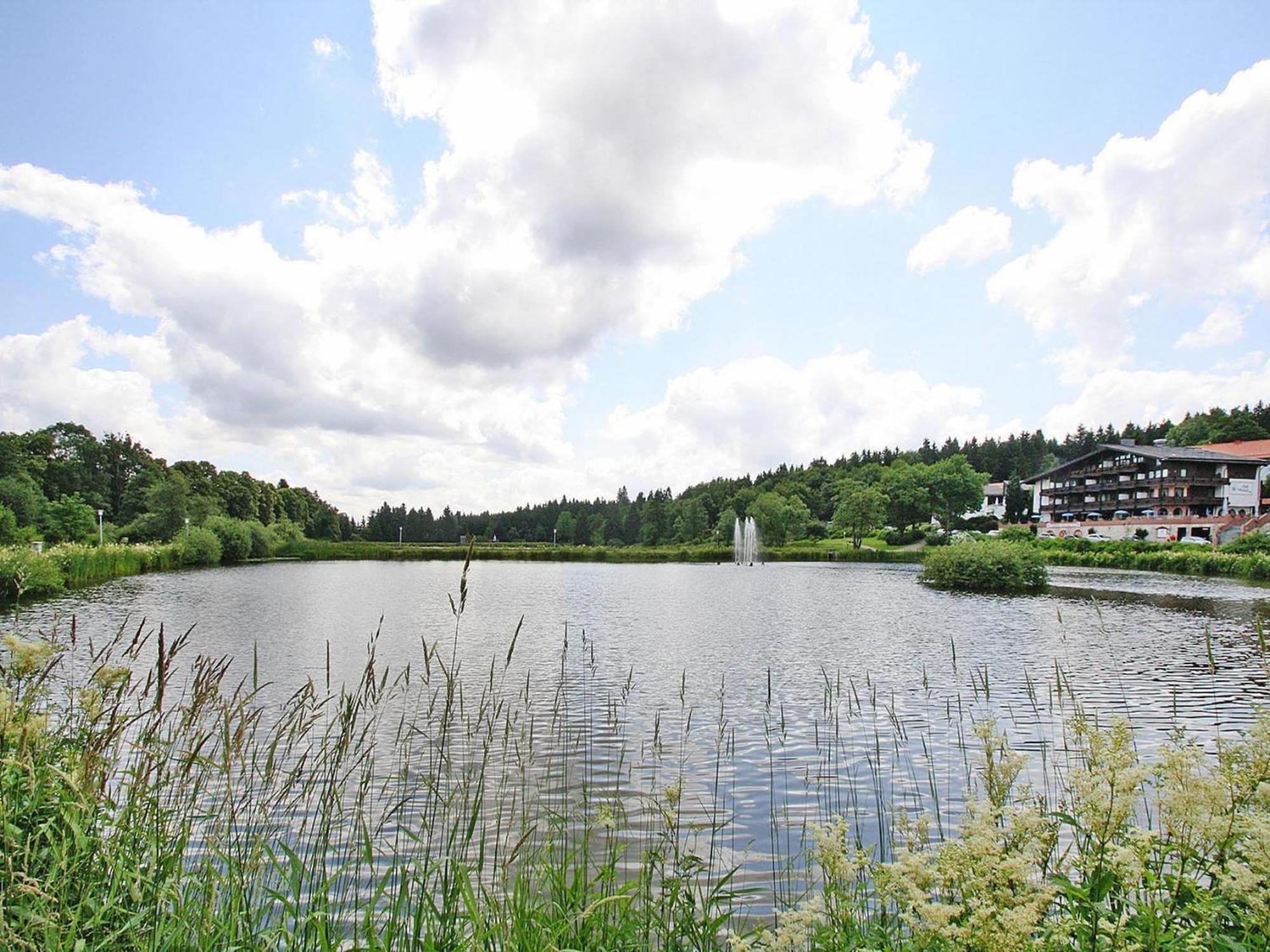 Ferienwohnung In Hahnenklee Goslar Exteriér fotografie